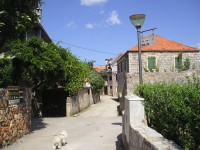 /album/fotogaleria-jelsa/p1010021-jpg1/