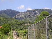 /album/fotogaleria-jelsa/p1010028-jpg1/