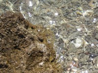 /album/fotogaleria-bol/p1010067-jpg/