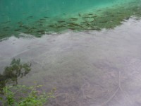 /album/fotogaleria-plitvice-vodopady/p1010012-jpg/